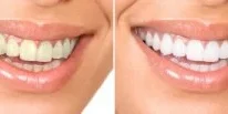 75082 Dentist (3)