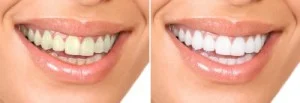 75082 Dentist (3)