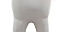 Dentist 75082 (2)