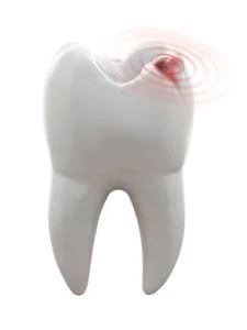 Dentist 75082 (2)