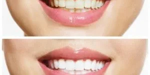 Dentist Richardson (2)