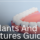 Dental Implants vs Dentures